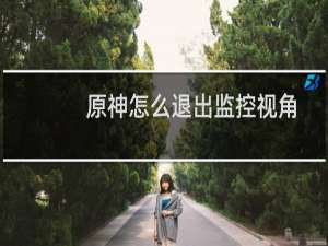 原神怎么退出监控视角