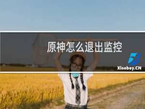 原神怎么退出监控