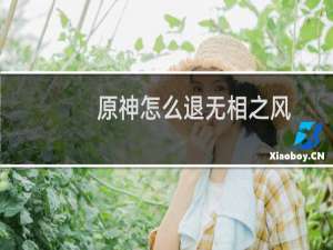 原神怎么退无相之风