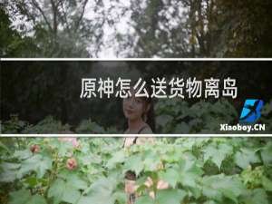 原神怎么送货物离岛