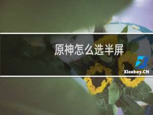 原神怎么选半屏