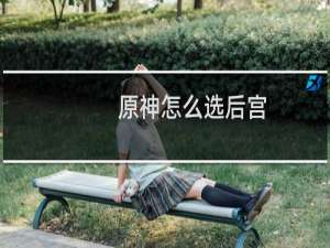 原神怎么选后宫
