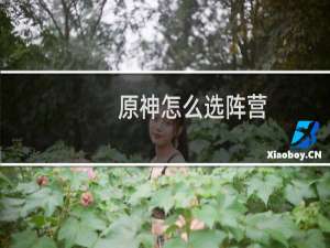 原神怎么选阵营