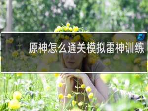 原神怎么通关模拟雷神训练