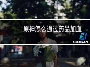 原神怎么通过药品加血