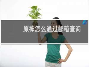 原神怎么通过邮箱查询