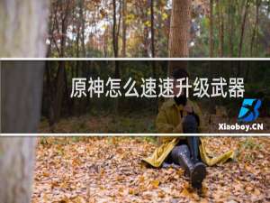 原神怎么速速升级武器