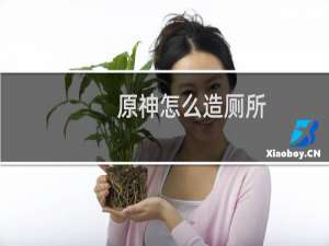 原神怎么造厕所