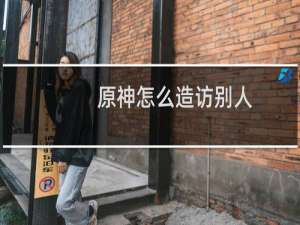 原神怎么造访别人