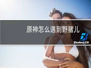 原神怎么遇到野猪儿