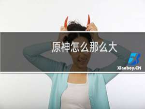 原神怎么那么大