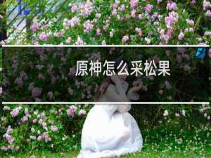 原神怎么采松果