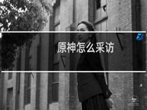 原神怎么采访