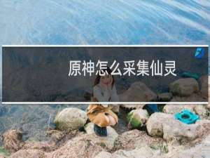原神怎么采集仙灵