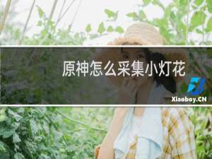 原神怎么采集小灯花