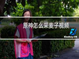 原神怎么采麦子视频