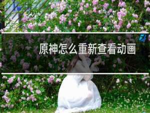 原神怎么重新查看动画