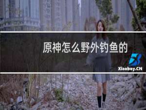 原神怎么野外钓鱼的