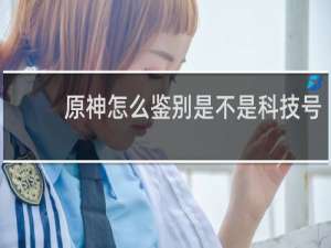 原神怎么鉴别是不是科技号