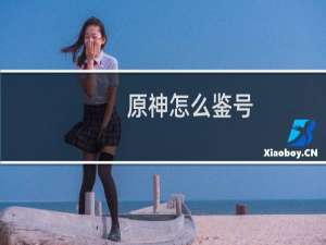 原神怎么鉴号
