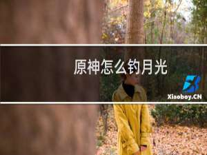 原神怎么钓月光