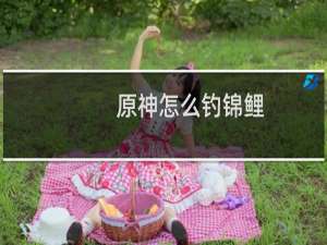 原神怎么钓锦鲤