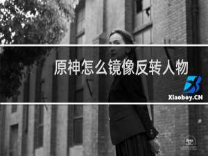 原神怎么镜像反转人物