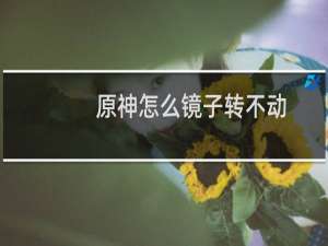原神怎么镜子转不动
