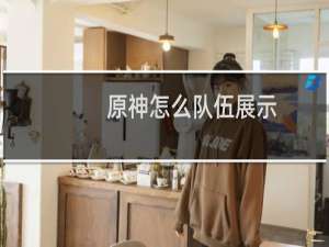 原神怎么队伍展示