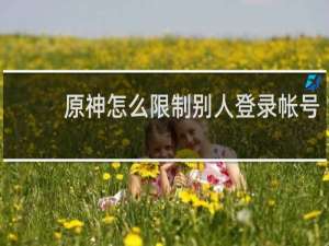 原神怎么限制别人登录帐号