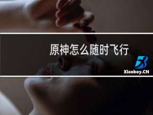 原神怎么随时飞行