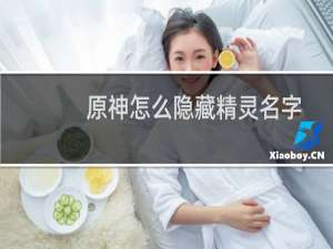 原神怎么隐藏精灵名字