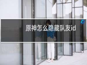 原神怎么隐藏队友id