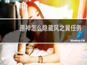 原神怎么隐藏风之翼任务