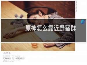 原神怎么靠近野猪群