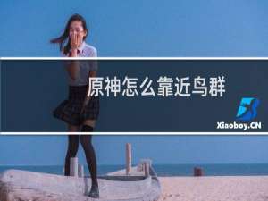 原神怎么靠近鸟群