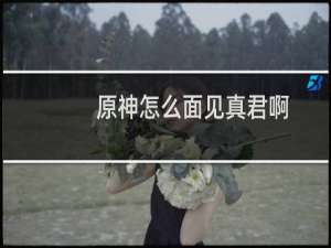 原神怎么面见真君啊