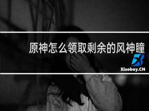 原神怎么领取剩余的风神瞳