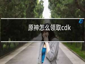 原神怎么领取cdk