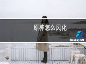 原神怎么风化