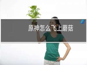 原神怎么飞上蘑菇