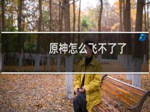 原神怎么飞不了了