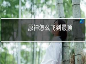 原神怎么飞到最顶