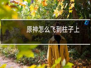 原神怎么飞到柱子上