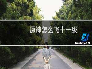 原神怎么飞十一级