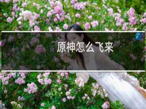 原神怎么飞来