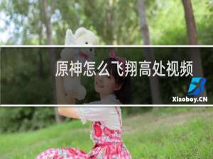 原神怎么飞翔高处视频