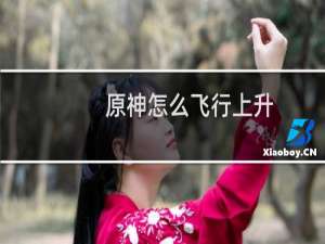 原神怎么飞行上升