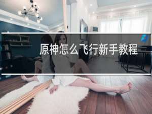 原神怎么飞行新手教程