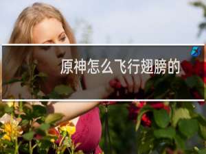 原神怎么飞行翅膀的